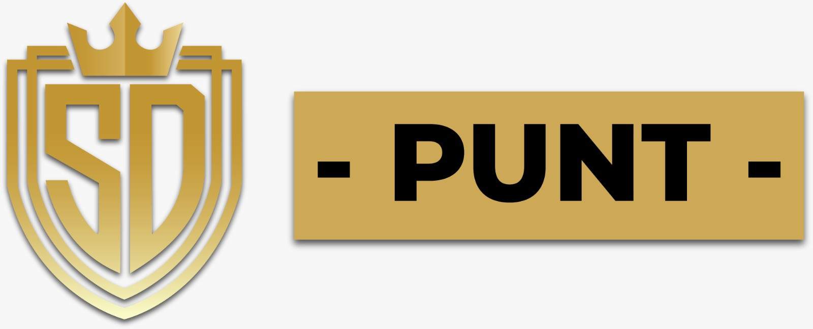 Sdpunt Sdpunt Profile Picture