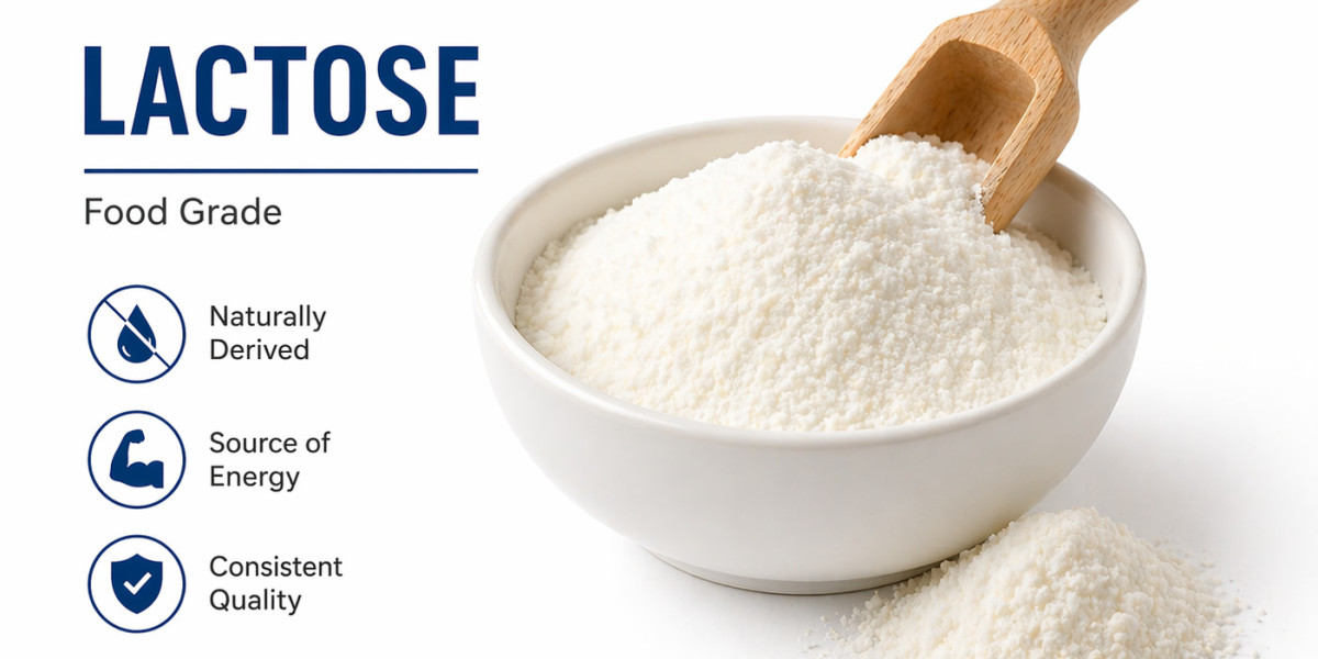 Global Lactose Market by 2034 – News and Recent Developments