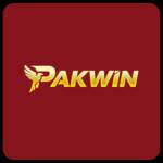 pakwin game Profile Picture